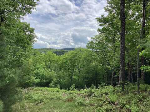 Lot 1 Pegwood Road, Campton, NH 03223