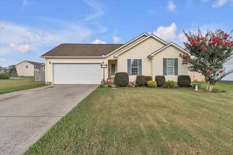 156 Lyndsey Drive, CHATSWORTH, GA 30705