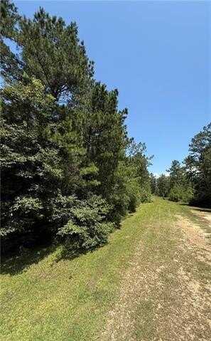 TBD LAKE CHOCTAW Road, Franklinton, LA 70438