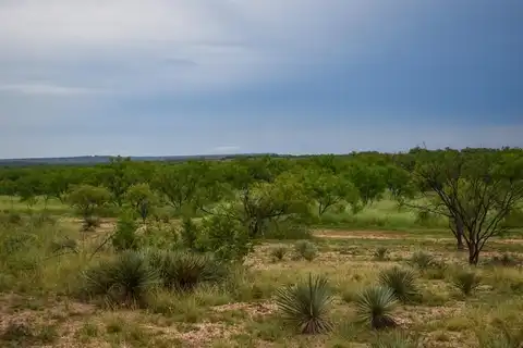40 Acres E. FM 765, Brady, TX 76825