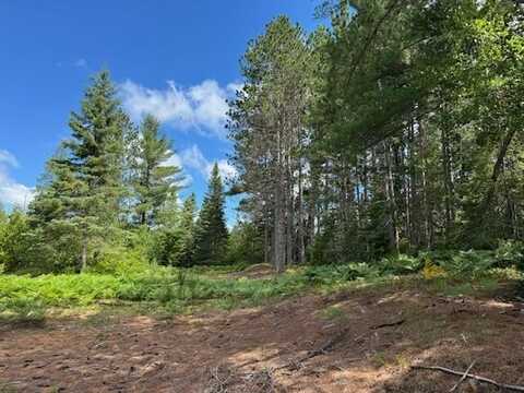 N Co Hwy 405, Newberry, MI 49868