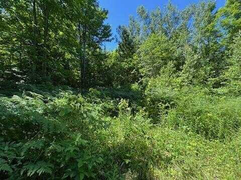 Co Rd 466 & near CR 428, Newberry, MI 49868