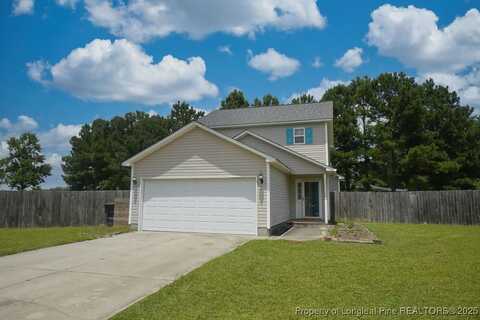 45 Michael Court, Erwin, NC 28339