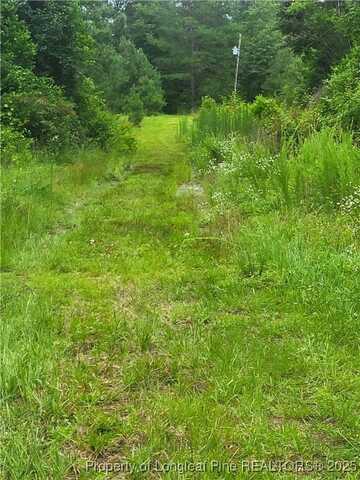 E Sarah Lane E, Laurinburg, NC 28352