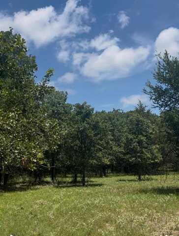 231 Private Road 4624, Boyd, TX 76023
