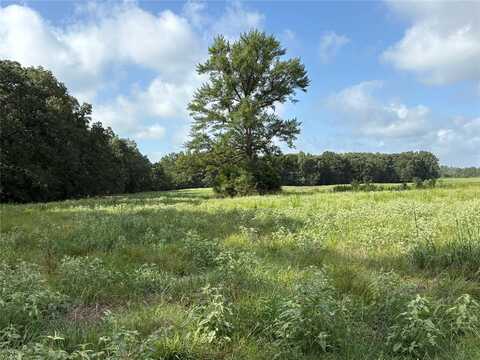 Tbd CR 2120, Talco, TX 75487