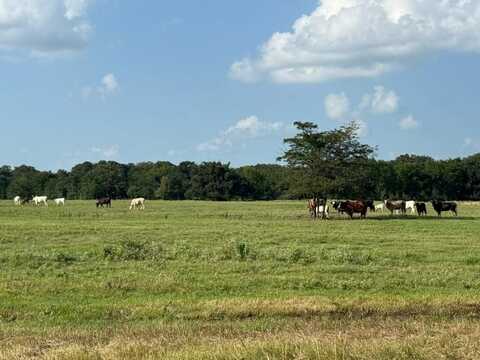 Tbd E Fm 2795, Alba, TX 75410