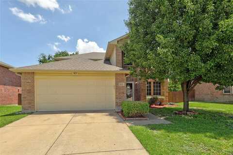 3705 Mcclintick Road, McKinney, TX 75070