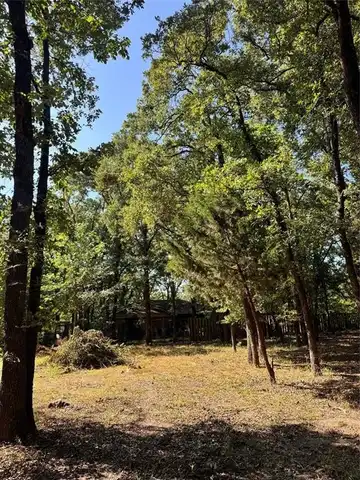 Tbd Sherwood Circle, Quinlan, TX 75474