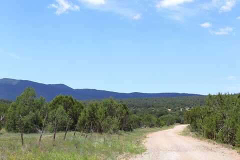 Sherwood Forest lot: 37, Torreon, NM 87061