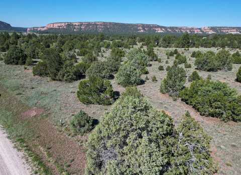 Buttonwood Drive lot: 15, Ramah, NM 87321