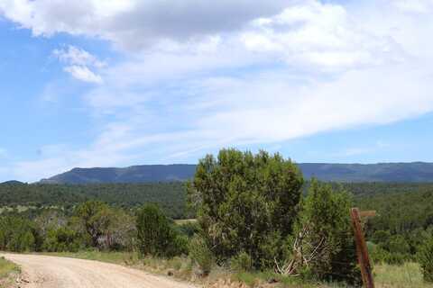Sherwood Forest lot: 5, Torreon, NM 87061