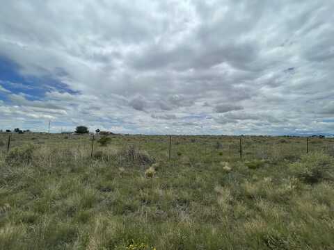 Seville Avenue lot: 13, Moriarty, NM 87035