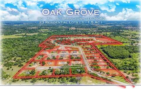 180 Oak Grove Way, No City, TX 76082