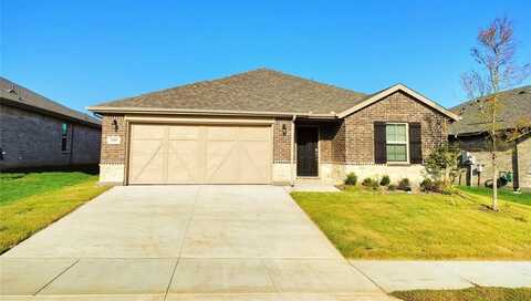 3909 Malachite Drive, Celina, TX 75009