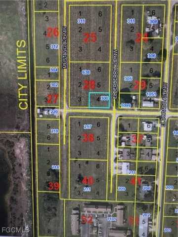 300 Elderberry Avenue NW, Moore Haven, FL 33471