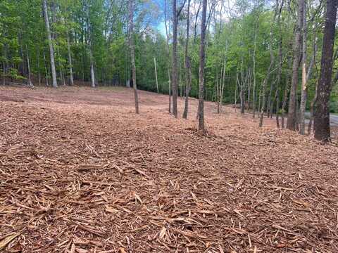 0 WESTMINISTER DR, MILLBORO, VA 24460