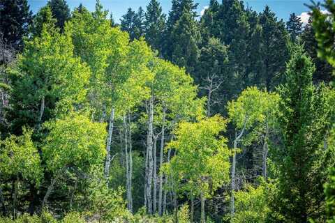 Livingston Peak Road, Livingston, MT 59047