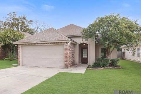 10119 Serene Rd, Denham Springs, LA 70726