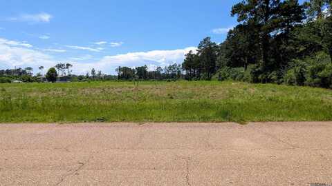 Lot 2-b6 Tungoil Rd, Pine Grove, LA 70453