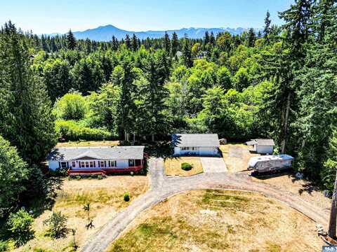 102 Cline Cabin Lane, Port Angeles, WA 98362