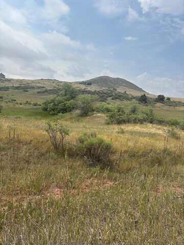 124 Springs Ranch Road, Laporte, CO 80535