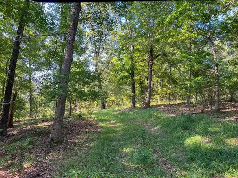 000 State Route JJ, West Plains, MO 65793