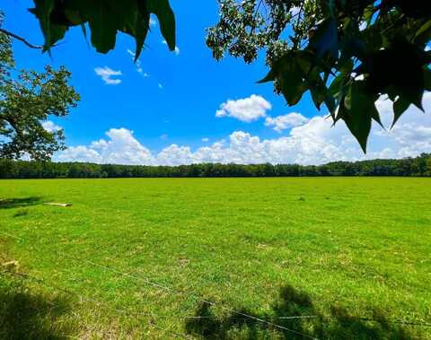 707 County Road 223, New Brockton, AL 36351