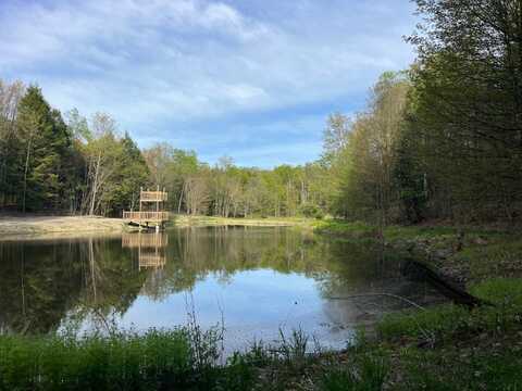 0 Vollentine Road, Randolph, NY 14772