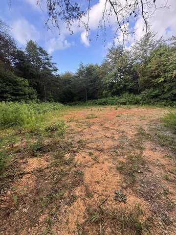 16.68+/- Acres Hwy 127 N, Albany, KY 42602