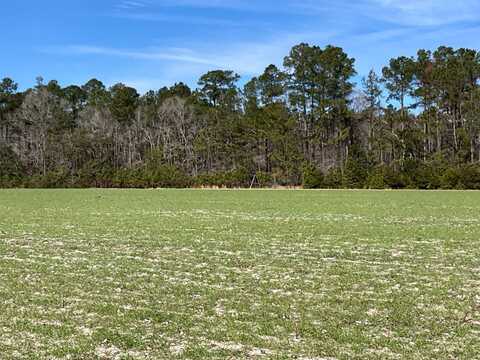 6005 Old Salkehatchie Rd, Early Branch, SC 29916