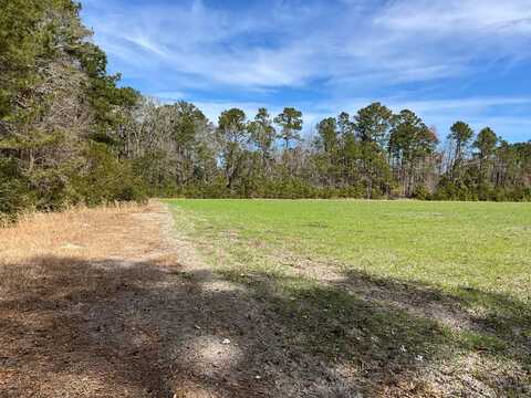 6005 Old Salkehatchie Rd, Early Branch, SC 29916