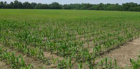 0000 South Co Road 125E, Clay City, IN 47841
