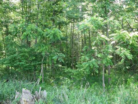 1200 E Co Rd 1100 S, Clay City, IN 47841