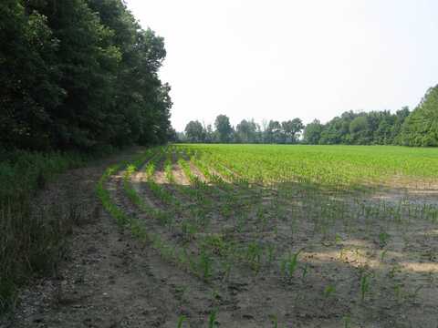 0000 South Co Road 125E, Clay City, IN 47841