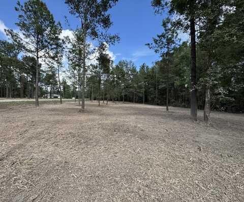 0 LA-40 Tract 2, Albany, LA 70711