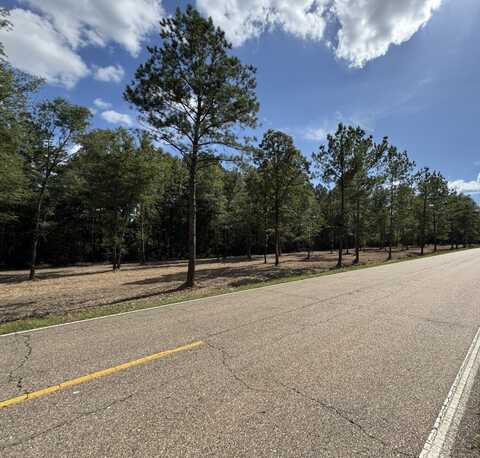 0 LA-40 Tract 3, Albany, LA 70711