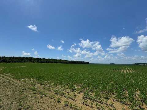 000 Pump Street, Des Arc, AR 72040