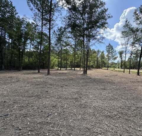 0 LA-40 Tract 1, Albany, LA 70711