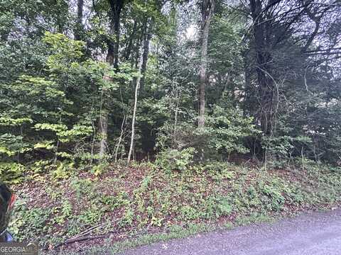 0 Chastain, Sautee Nacoochee, GA 30571