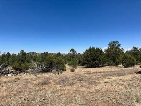 1 Wilderness Lane, Datil, NM 87821