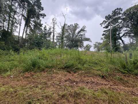 35 Tanner Rd, Converse, LA 71419