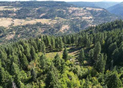 750 Mountain Top Drive, Orofino, ID 83544