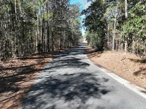 TBD Castor Plunge Road, Woodworth, LA 71485