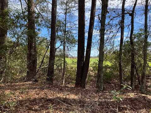 6005 Old Salkehatchie Rd, Early Branch, SC 29916