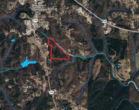 0 Highway 195, Double Springs, AL 35503
