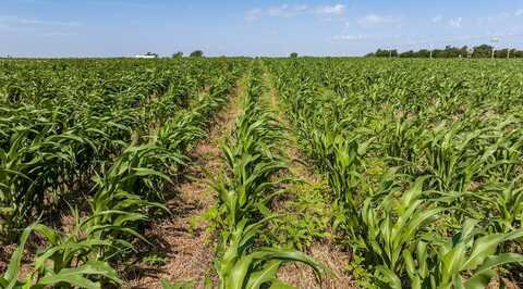 TBD Hwy 15, Tonkawa, OK 74653
