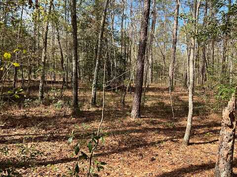 6005 Old Salkehatchie Rd, Early Branch, SC 29916