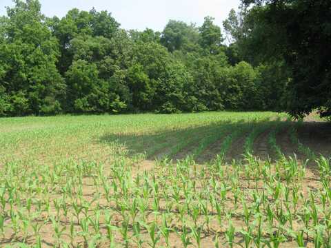 1250 E Co Road1100 S, Clay City, IN 47841