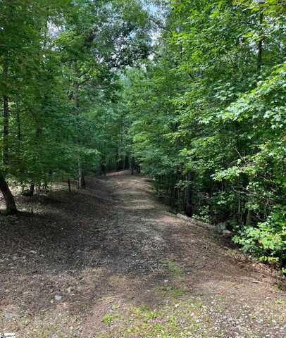 Darting Sparrow Way, Marietta, SC 29661